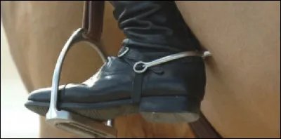 Quel cavalier a utilisé des éperons électrifiés sur son cheval ?