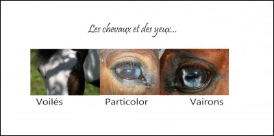 Cette charte est-elle véridique ?