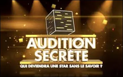 Avec qui anime-t-il "Audition secrète" en 2018 ?