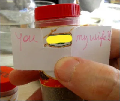 En de Niro dans le texte...