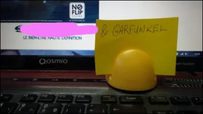 Un duo pour se reposer.