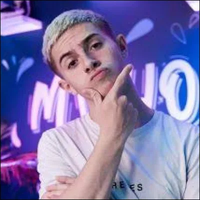 Sur quel site web s'est-il fait connaitre ?