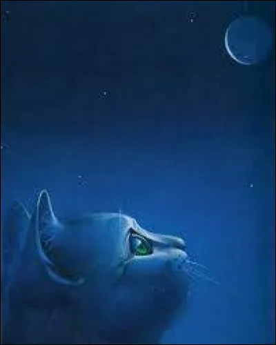 Quel compagnon/quelle compagne est fait(e) pour toi ?