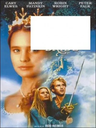 À quel film appartient cette affiche ?