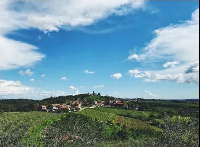 Au milieu des vignobles, le village de Kojsko fut italien et portait le nom de ...