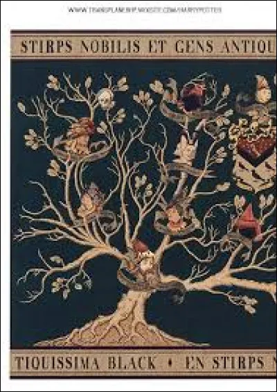 Cygnus et Druella Black sont les parents de :