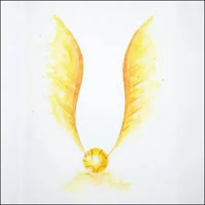 De quelle cr&eacute;ature magique est inspir&eacute; le Vif d'or ?