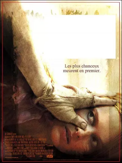 À quel film appartient cette affiche ?