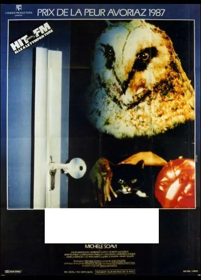 À quel film appartient cette affiche ?