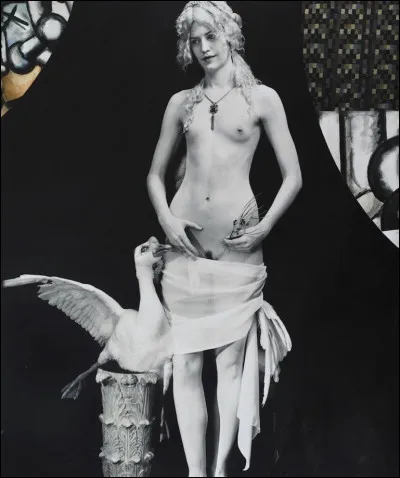 Femme de Tyndare, roi de Sparte, fut aimé de Zeus qui la séduisit sous la forme d'un cygne. Qui est-elle ?