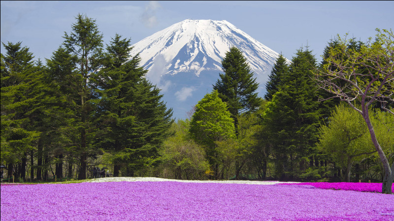 Activité – Le mont Fuji est un volcan...