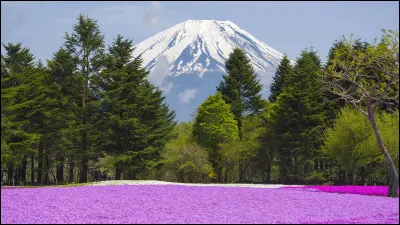 Activit&eacute; � Le mont Fuji est un volcan...