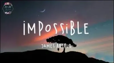 Qui chantait "aimer jusqu'à l'impossible" ?