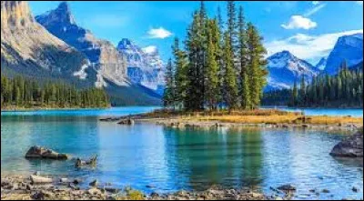 Combien y avait-il de Canadiens en 2019 ?