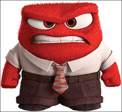 L'émotion qui est avec toi le plus souvent est :