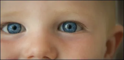 Les yeux les plus beaux sont :