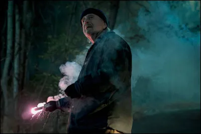 Quel est le personnage joué par Harris Yulin ?