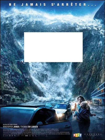 À quel film appartient cette affiche ?