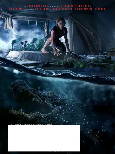 À quel film appartient cette affiche ?