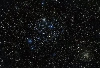 Quel a été le premier être vivant à aller dans l'espace ?