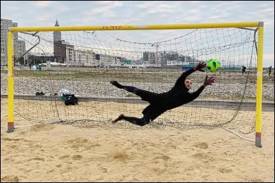 Qui a dit apr&egrave;s un entra&icirc;nement sur sable, "pour un Br&eacute;silien comme moi, c'&eacute;tait facile" ?