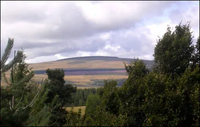 Quel est le point culminant du massif du Cézallier ?
