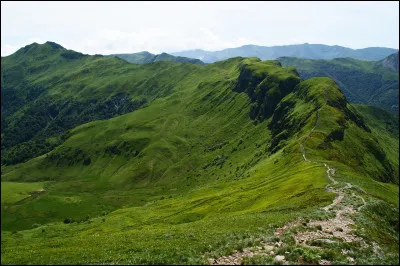 En quelle année est créé le parc régional des volcans d'Auvergne ?
