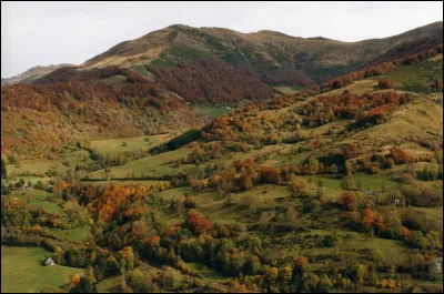Selon les spécialistes le massif cantalien est...