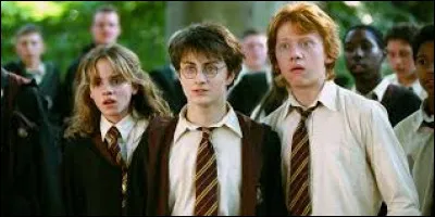 Où dans Pré-au-Lard mène le passage secret qu'emprunte Harry pour se rendre rejoindre Ron et Hermione à Pré-au-Lard ?