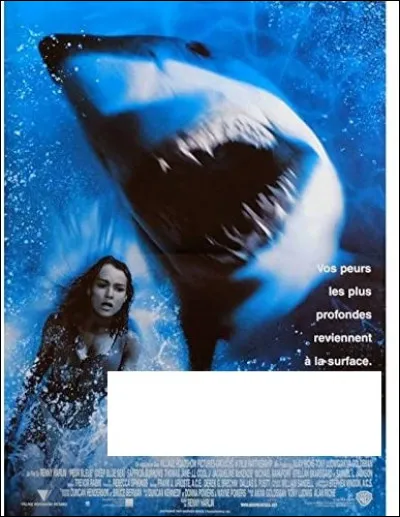 À quel film correspond cette affiche ?