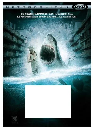 À quel film correspond cette affiche ?