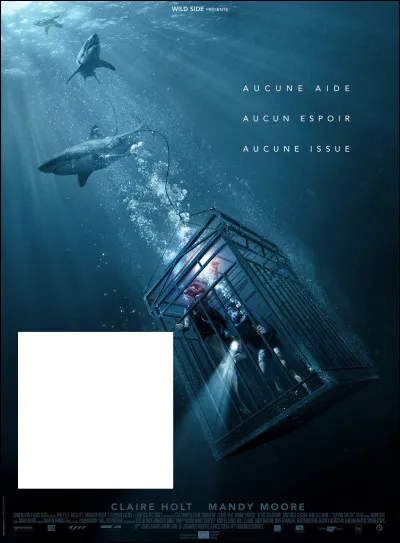 À quel film correspond cette affiche ?