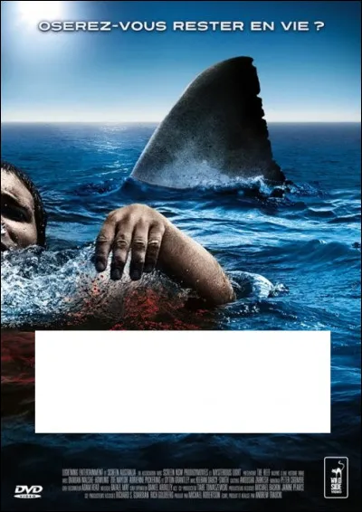 À quel film correspond cette affiche