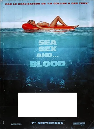 À quel film correspond cette affiche ?