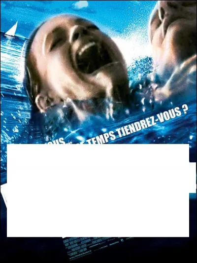 À quel film correspond cette affiche ?