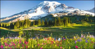 Ces volcans sont parmi les plus surveillés au monde car parmi les plus susceptibles de causer un très grand nombre de morts en cas d'éruption. Il se situent en effet dans une zone très peuplée du globe. Ainsi, quelle grande métropole États-Unienne se situe à à peine 80 kilomètres du mont Rainier ?