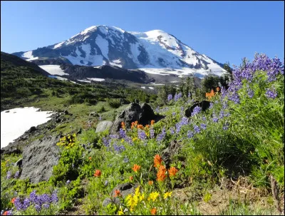 Quel est ce stratovolcan des Cascades, haut de 3 742 mètres, recouvert d'un imposant glacier, qui doit son nom au deuxième Président des États-Unis ?