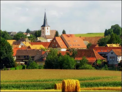 Qu'est-ce que le morgon ?
