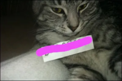 Chanson en un seul mot...