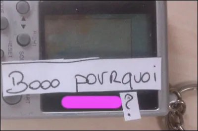 On se demande bien pourquoi, c'est vrai !