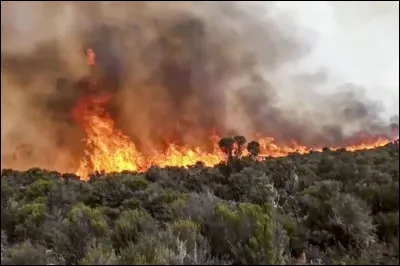 Qui a effectué la première ascension du Kilimandjaro ?
