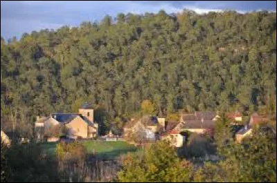 Saint-Cirq-Madelon est une commune de l'ex région Midi-Pyrénées située dans le département ...