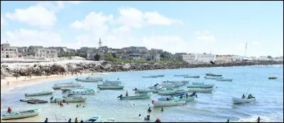 Quel pays a une côte sur l'océan Indien ?