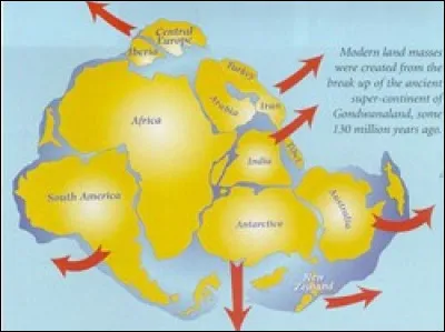 Quel est le nom du supercontinent d'il y a 600 millions d'années qui contenait l'Amérique du sud, l'Afrique, l'Inde, l'Antarctique et l'Australie ?