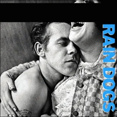 Qui est l'interpr&egrave;te de cet album ?