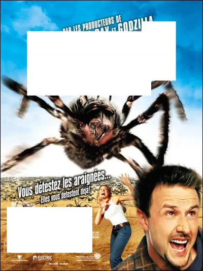 À quel film correspond cette affiche ?