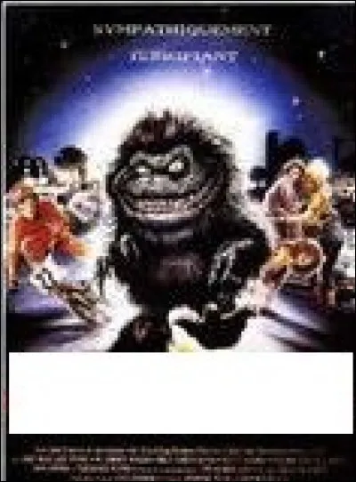 À quel film correspond cette affiche ?