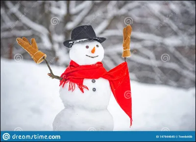 Quelle est la spécialité du bonhomme de neige ?
