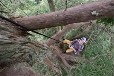 As-tu peur de prendre la décision de lâcher la branche à laquelle tu es accroché(e) en haut d'un arbre pour en descendre ?
