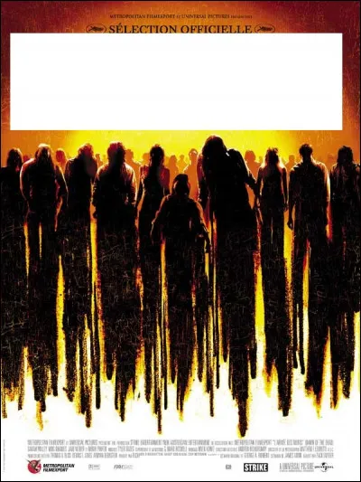 À quel film correspond cette affiche ?